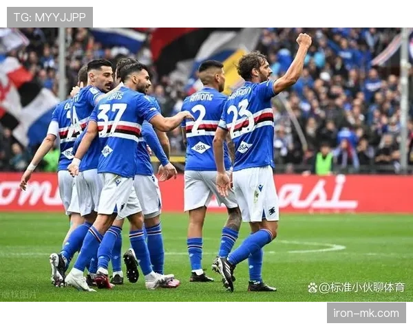 维罗纳球队结构