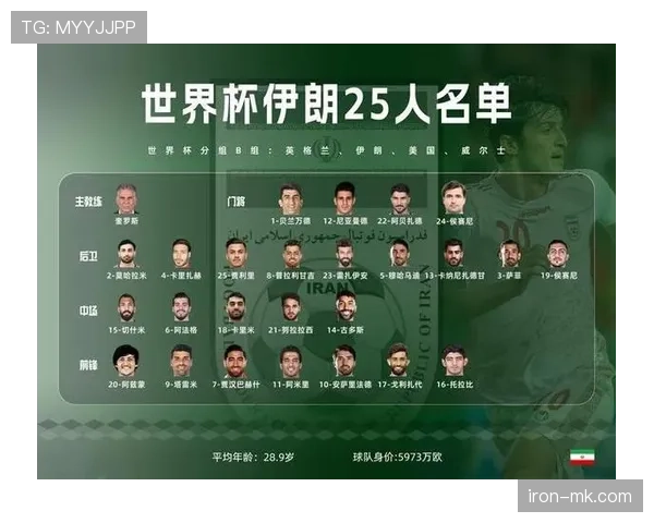 传统强队世界杯阵容身价构成揭秘